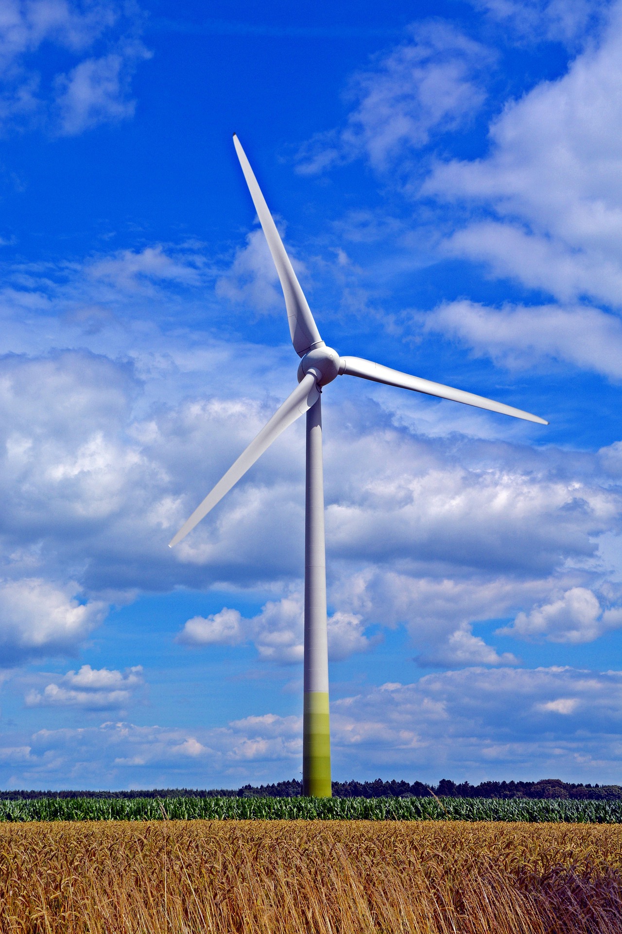 Image by Wälz from Pixabay Neue Wege